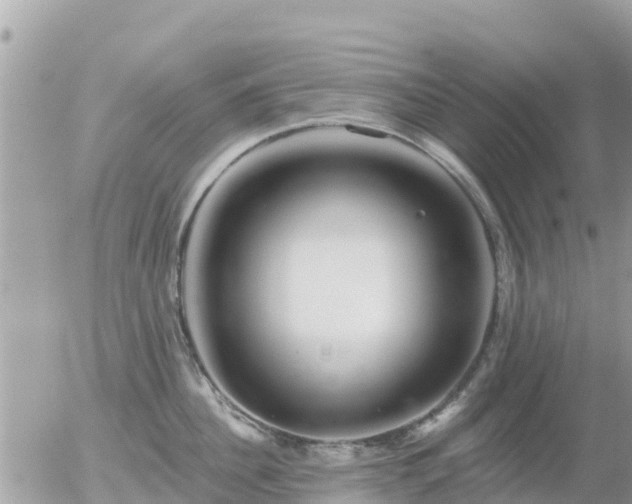 X0000055990956200508261721