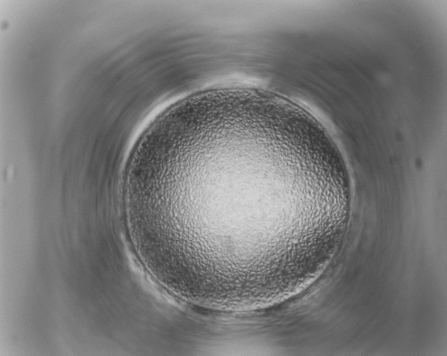X0000055991008200508261719