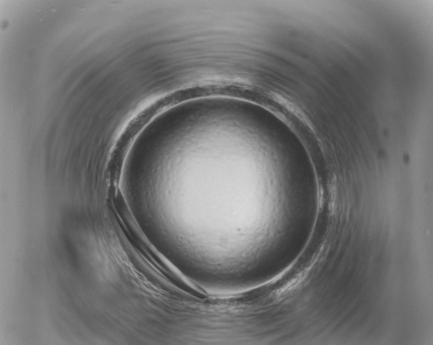 X0000055991021200508261719
