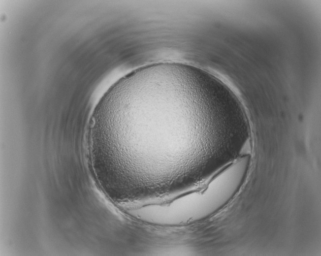 X0000055991056200508261719