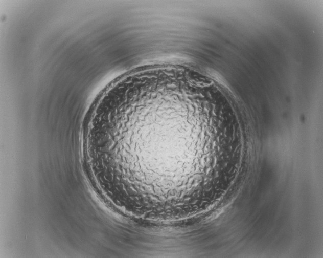 X0000055991079200508261718