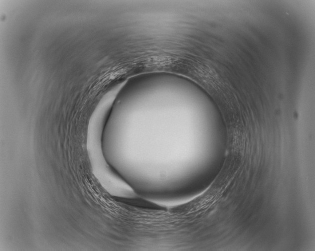 X0000055991153200508261717