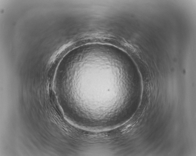 X0000055991159200508261717