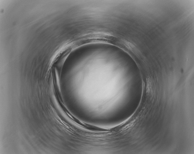X0000055991164200508261717