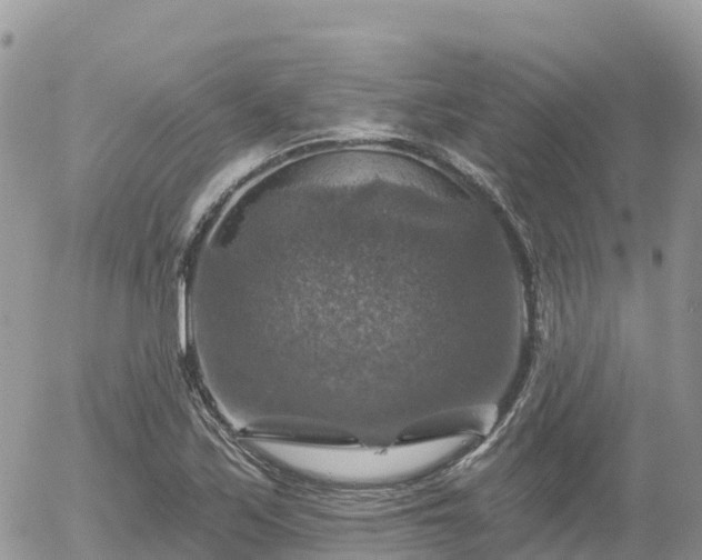 X0000055991171200508261716