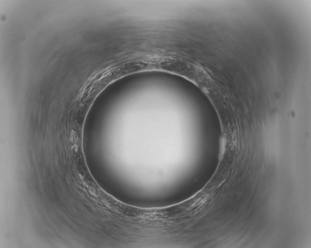 X0000055991253200508261715