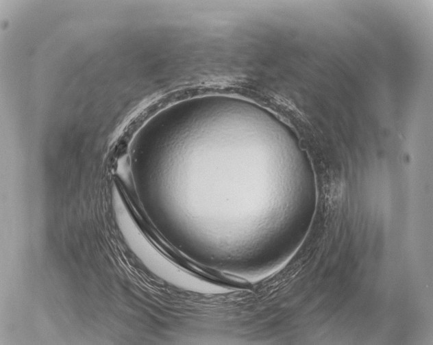 X0000055991256200508261715