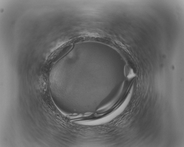 X0000055991303200508261714