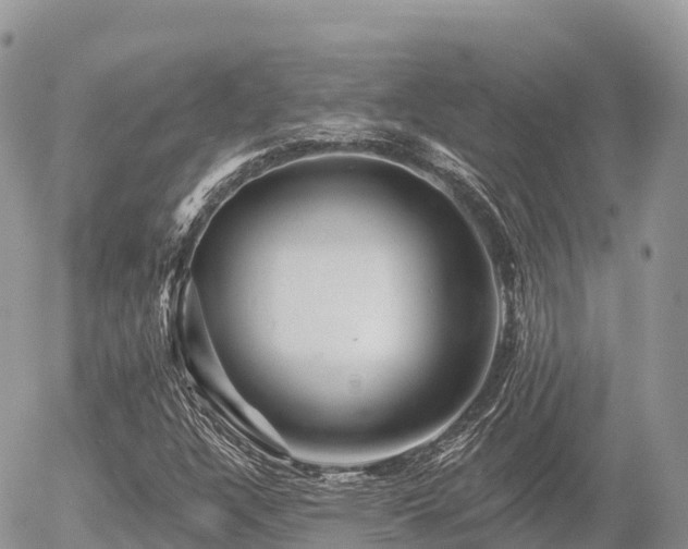X0000055991304200508261714