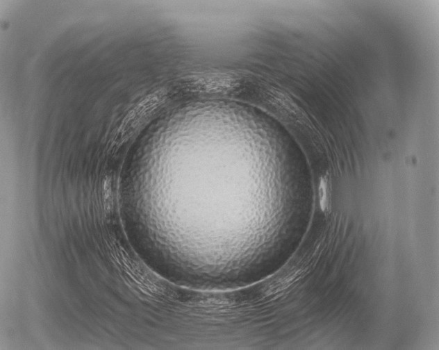 X0000055991395200508261712