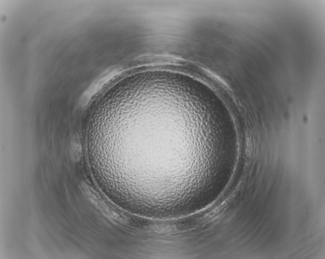 X0000055991407200508261712