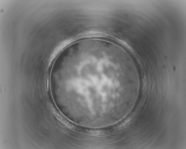 X0000055991413200508261712