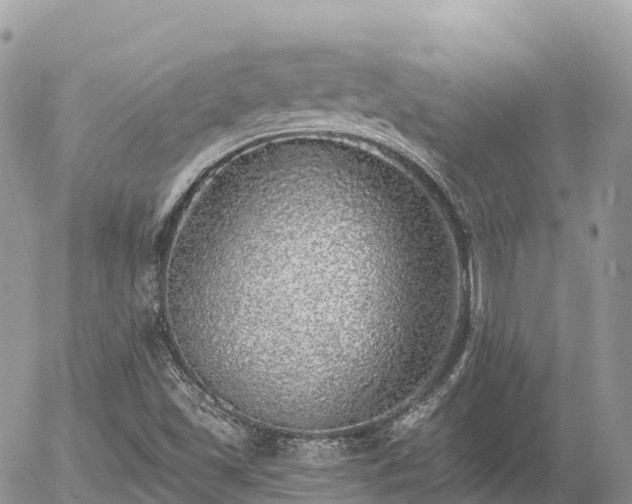 X0000055991501200508261711