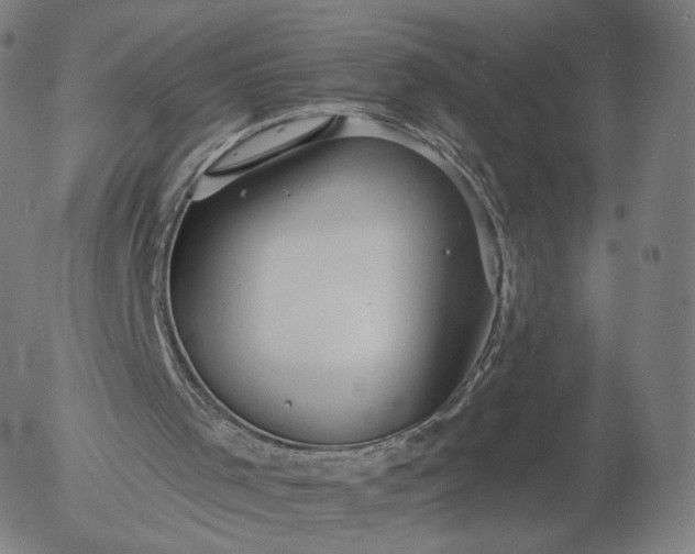 X0000055990001200509021650