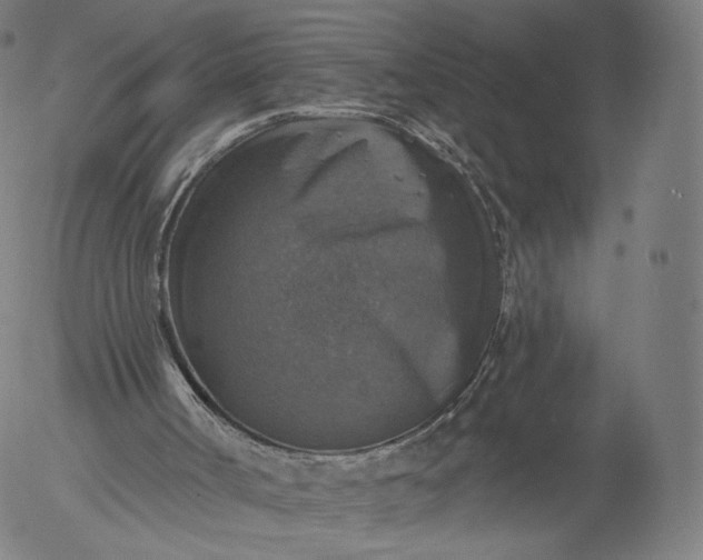 X0000055990002200509021650