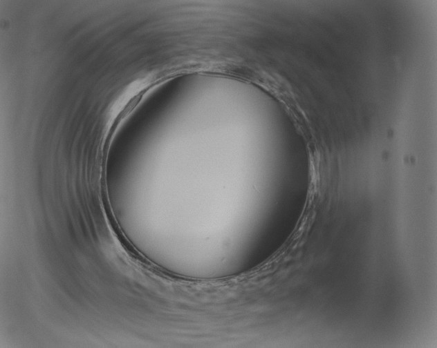 X0000055990003200509021650