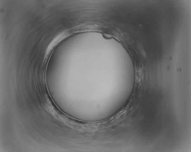 X0000055990004200509021650