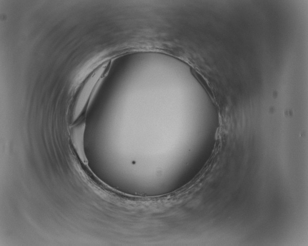 X0000055990005200509021650