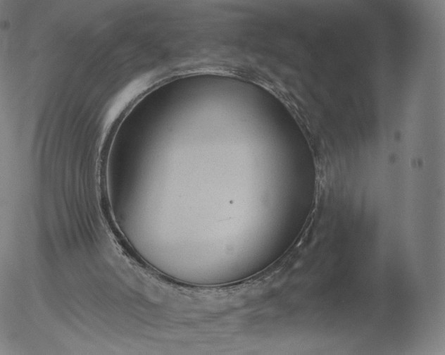 X0000055990006200509021650