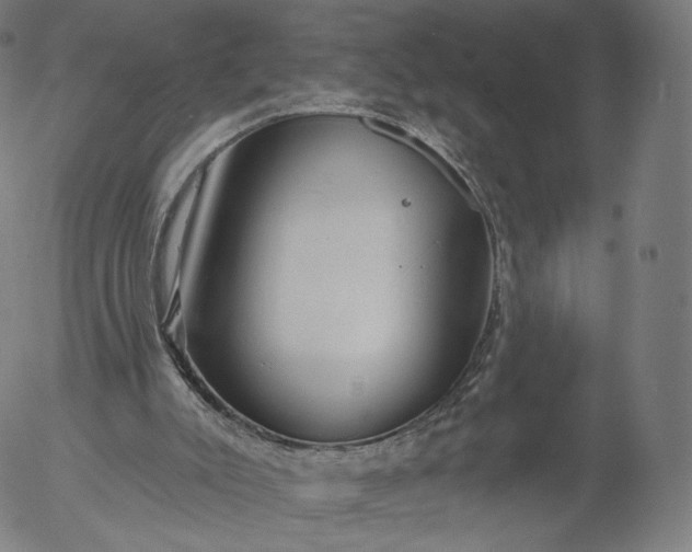 X0000055990007200509021650