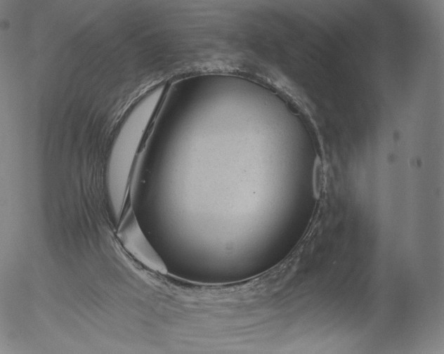 X0000055990009200509021650