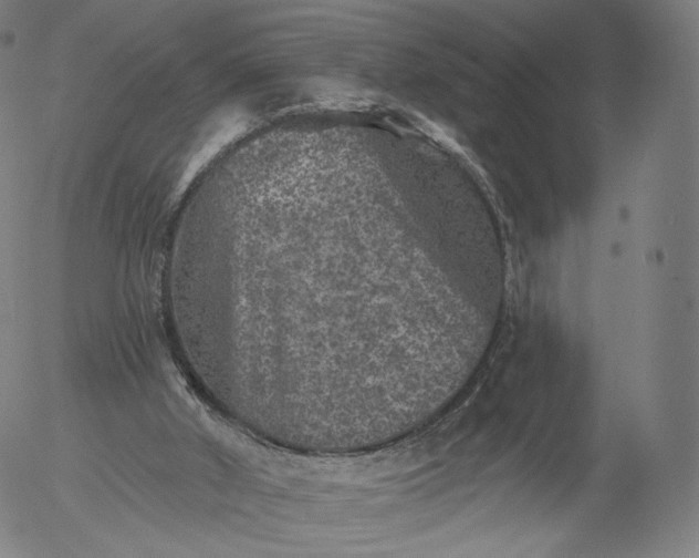 X0000055990010200509021650