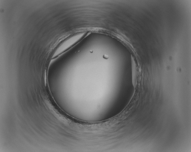 X0000055990013200509021650