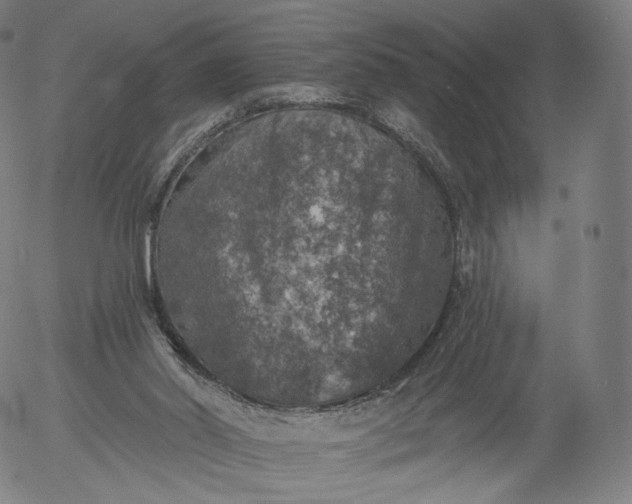 X0000055990014200509021650