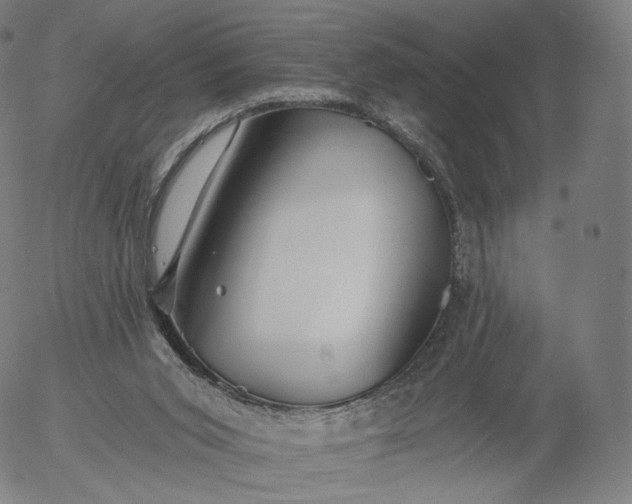 X0000055990015200509021650