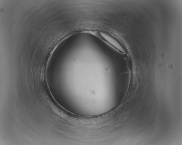 X0000055990017200509021650