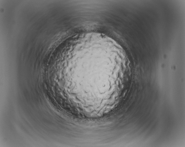 X0000055990018200509021650