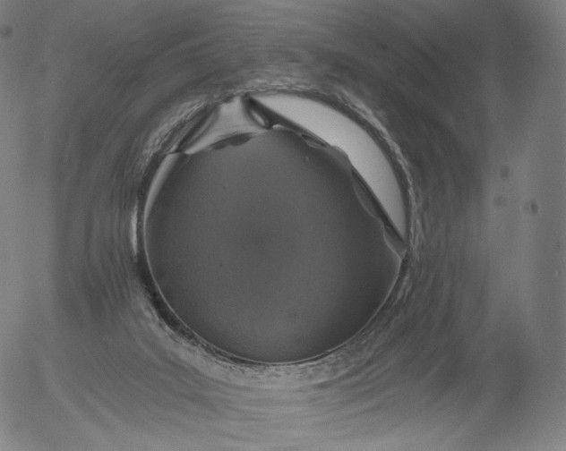 X0000055990019200509021650