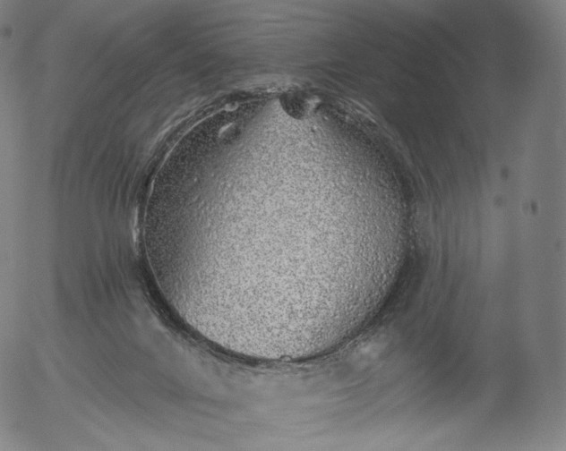 X0000055990024200509021650