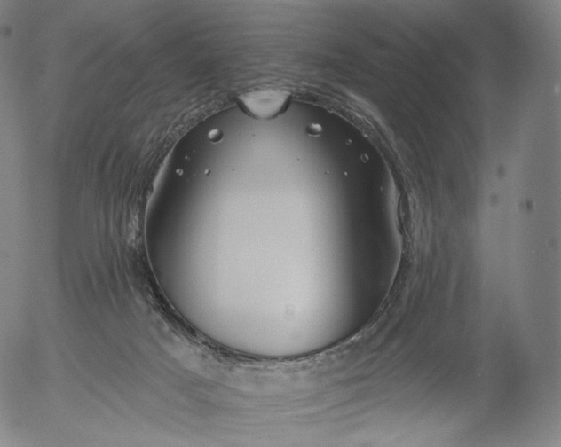 X0000055990025200509021650