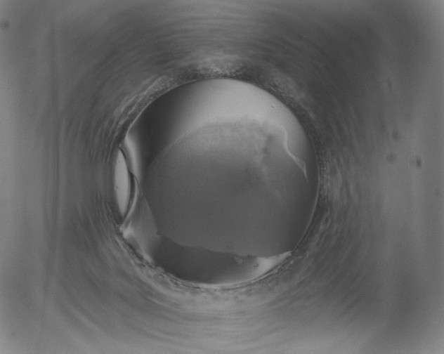 X0000055990027200509021650