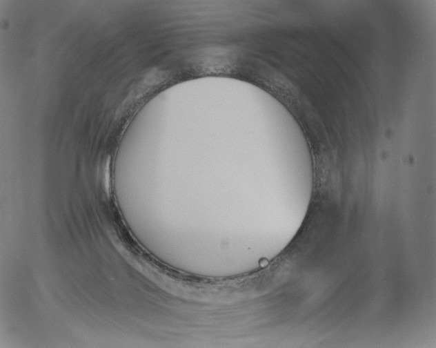 X0000055990028200509021650