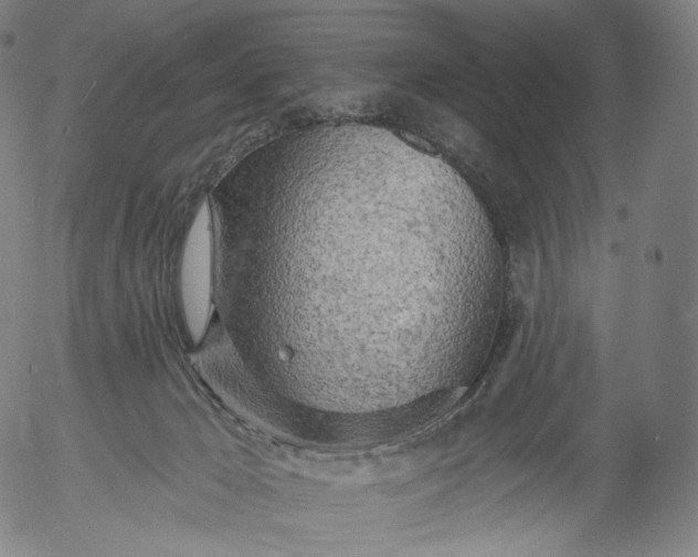 X0000055990029200509021650