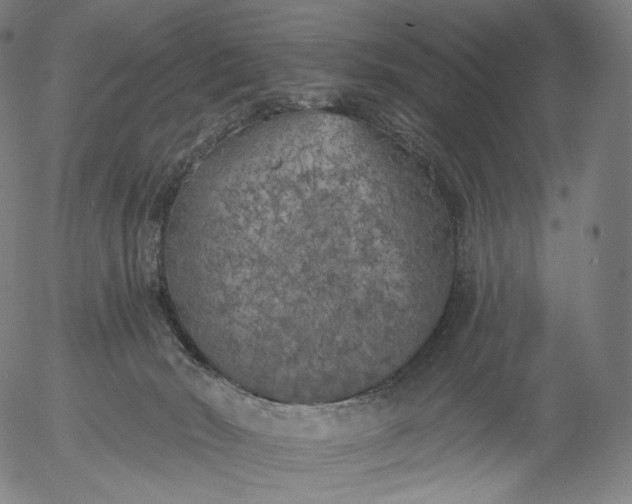 X0000055990030200509021650