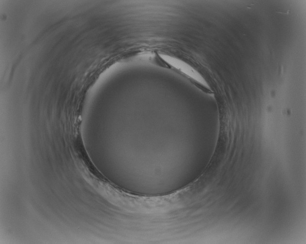 X0000055990031200509021650