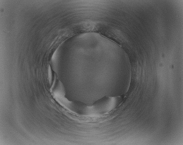 X0000055990035200509021650