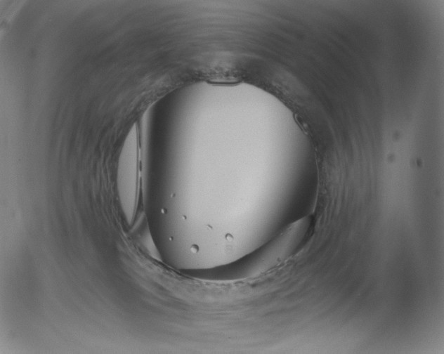 X0000055990037200509021650