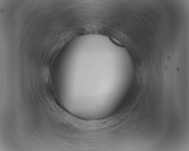 X0000055990038200509021650