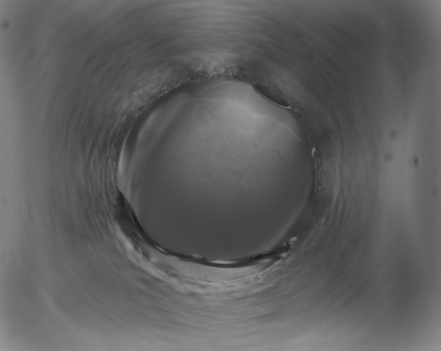 X0000055990039200509021650