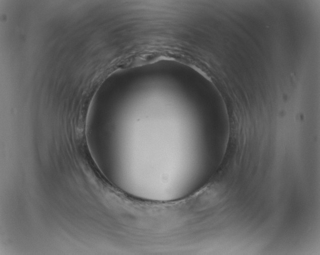 X0000055990040200509021649