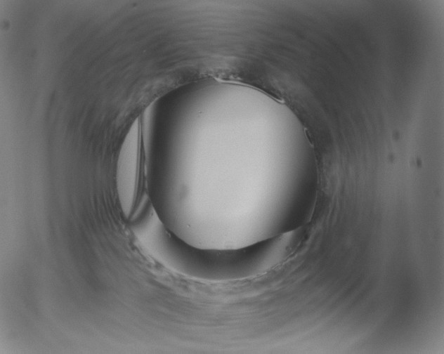 X0000055990041200509021649