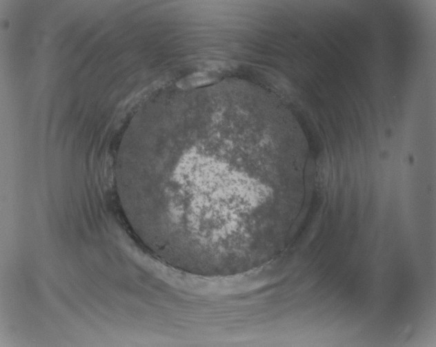 X0000055990043200509021649