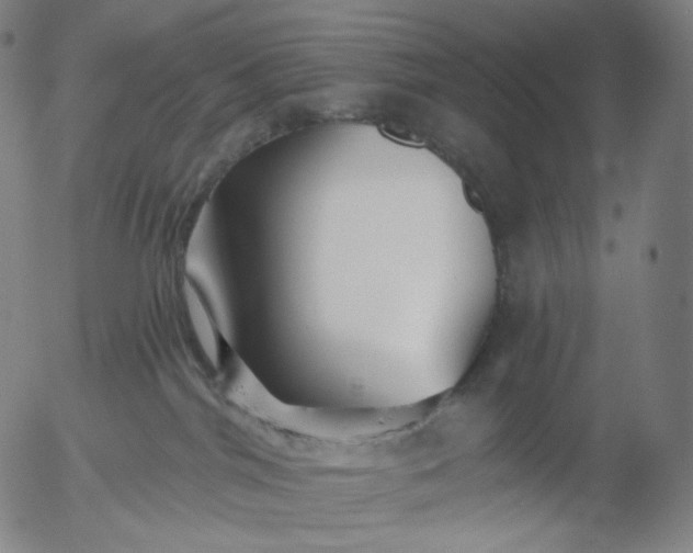 X0000055990044200509021649