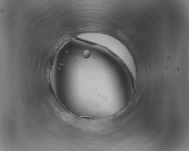 X0000055990045200509021649