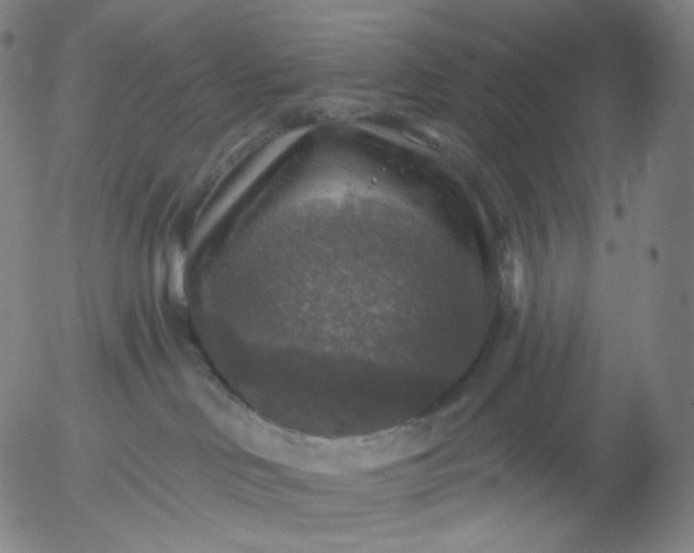 X0000055990046200509021649