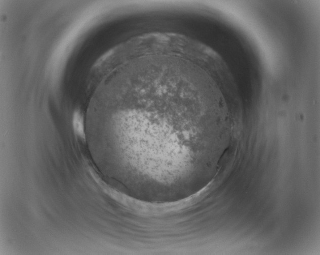 X0000055990047200509021649